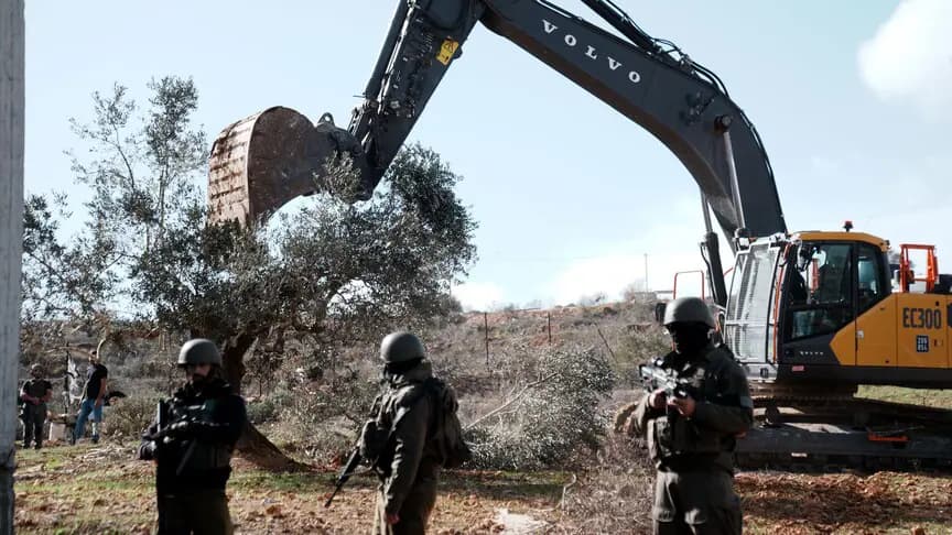 İsrail, Cenin'de zeytin hasadına haftalar kala Filistinlilerin geçim kaynağı ağaçları söküyor