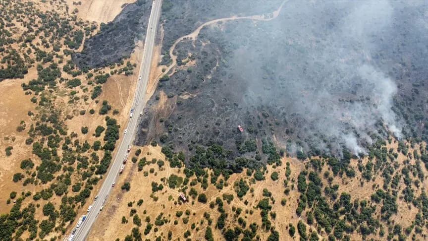 Elazığ'da ormana sıçrayan yangına müdahale ediliyor