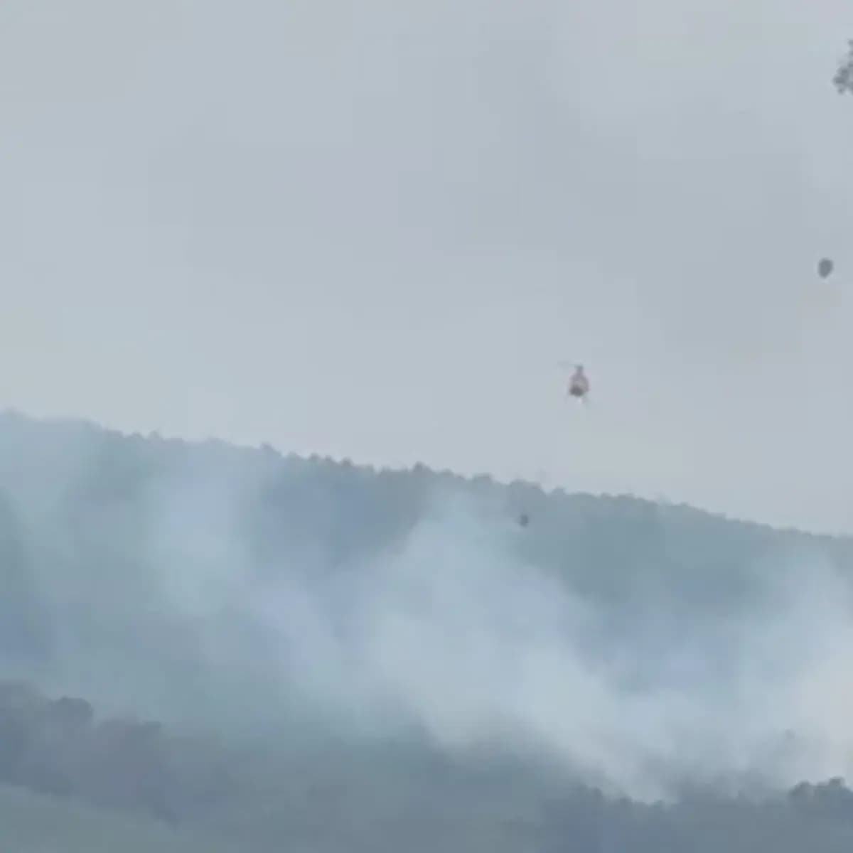 İstanbul'da ormanlık alandaki yangına havadan müdahale