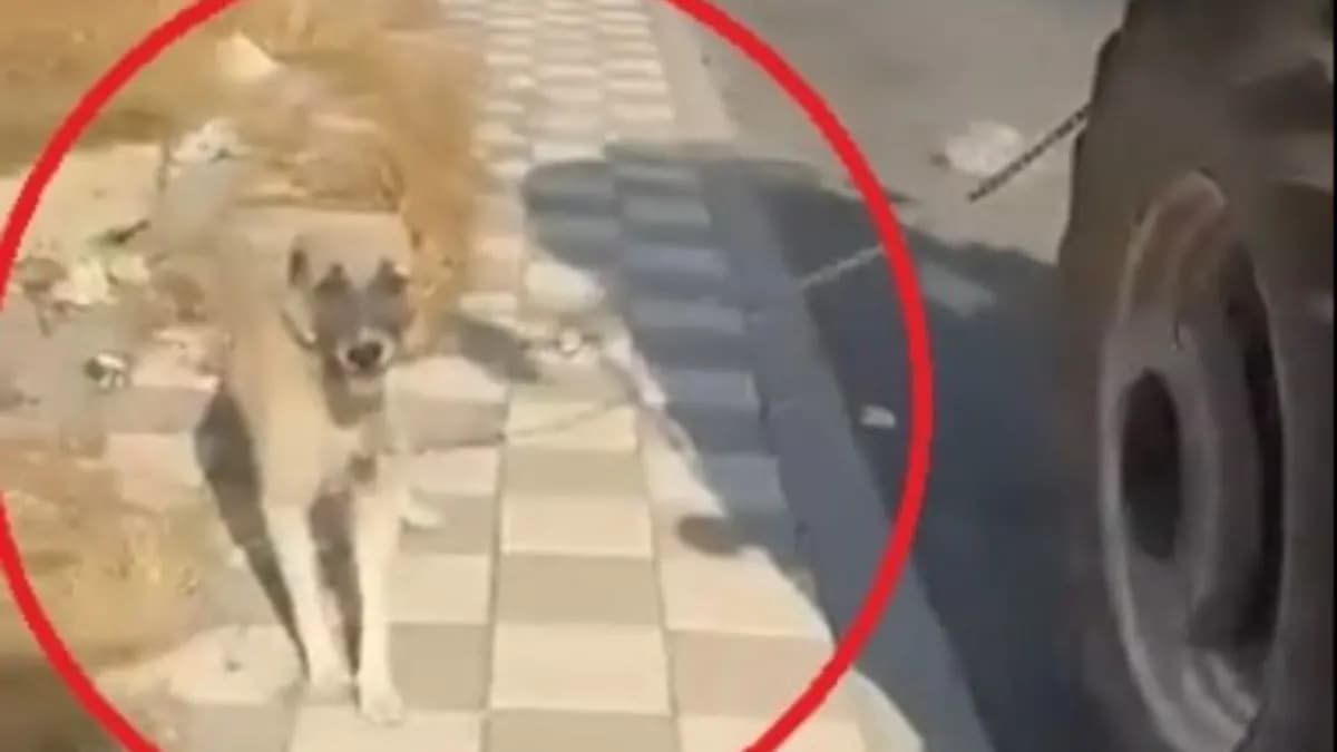 Diyarbakır’da tepki çeken görüntü: Köpeği traktöre iple bağlayıp koşturdu