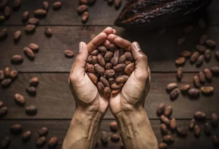 Kakao fiyatlarında sert yükseliş: Tonu 6 bin 771 dolara çıktı