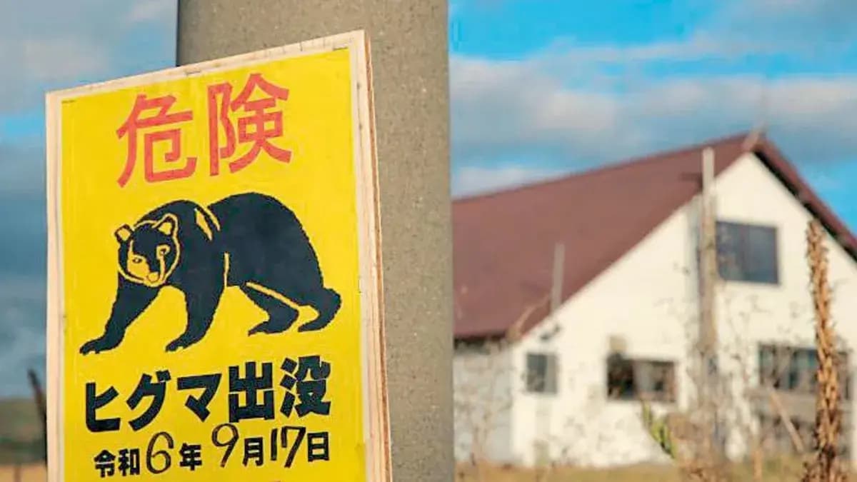 Japonya’da ayı seferberliği