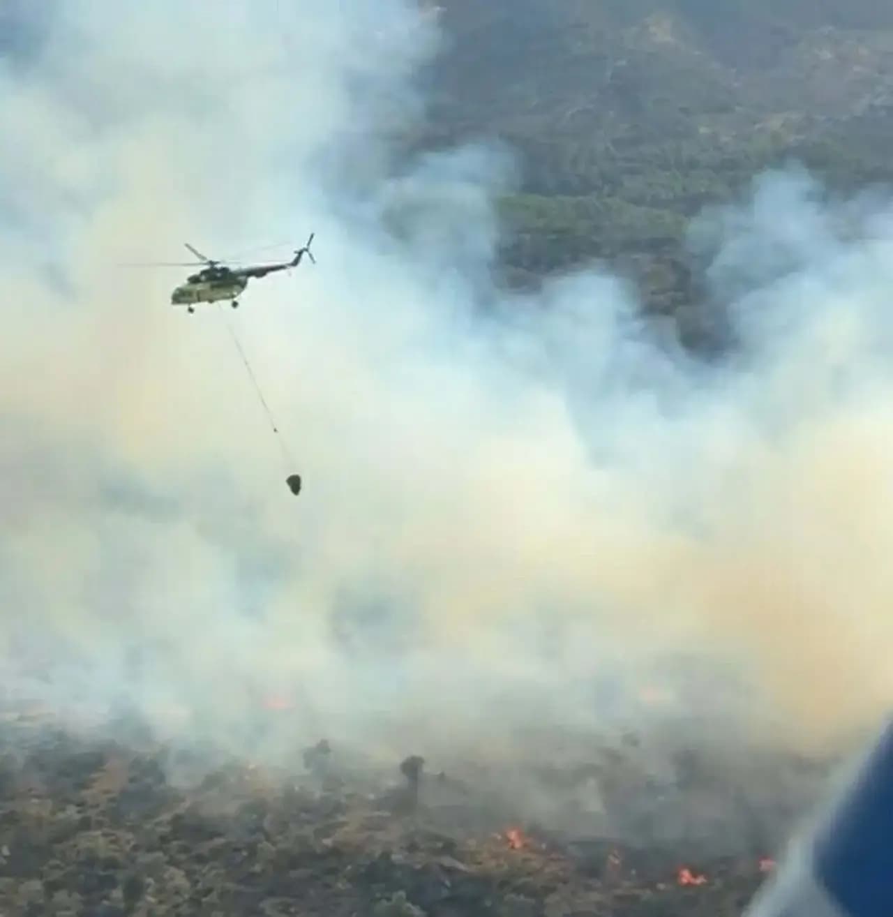 Aydın’da orman yangını! 6 uçak ve 5 helikopterle müdahale edildi, 2 saatte kontrol altına alındı
