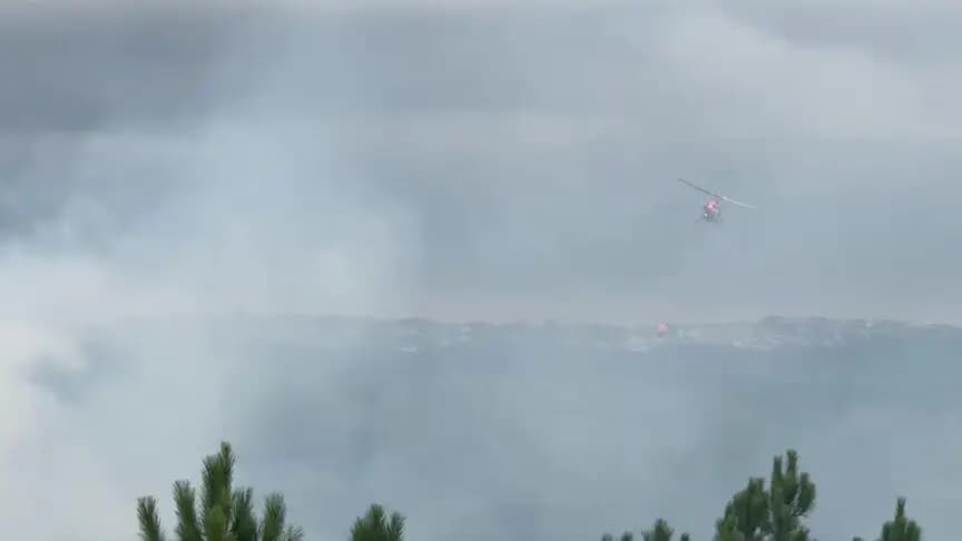 Arnavutköy'de ormanlık alanda çıkan yangın söndürüldü