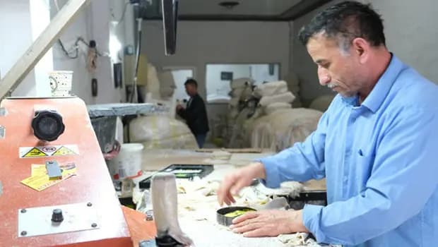 Norveç'ten ithal edip Erzincan'da üretimini sağlıyorlar