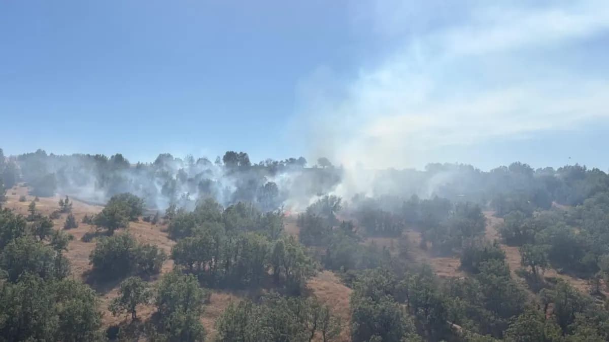 Bolu’da yangın; otlar tutuştu, alevler ağaçlara sıçradı