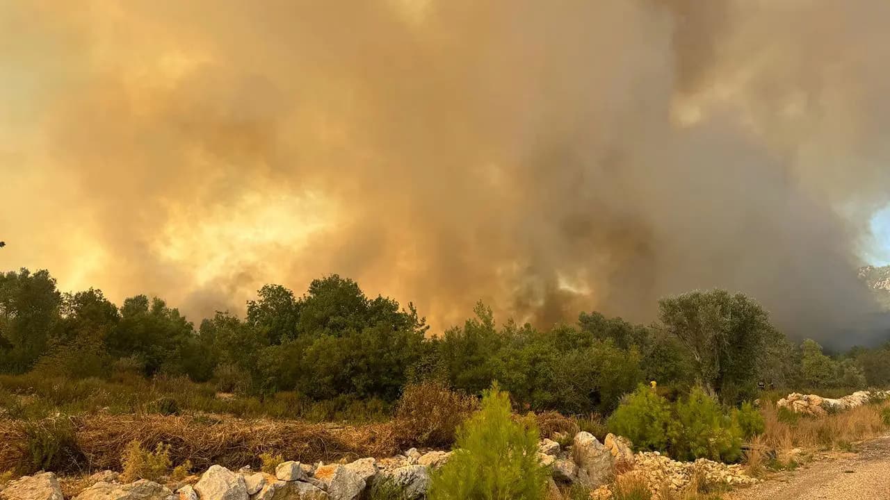 Antalya'da orman yangını: Ekipler müdahale ediyor
