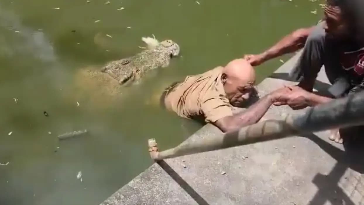 Timsah saldırısı can aldı! Vahşi yaşam parkında korkunç son