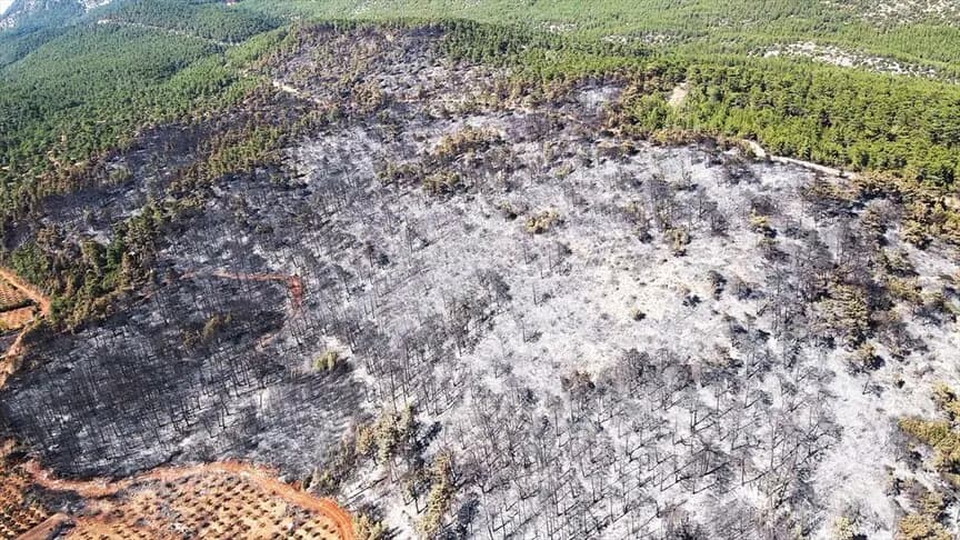 Muğla'da yanan ormanlık alan havadan görüntülendi