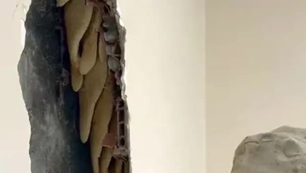 Avcılar'da yıkılan binanın duvarından arı kovanı çıktı: 25 kilo bal toplantı