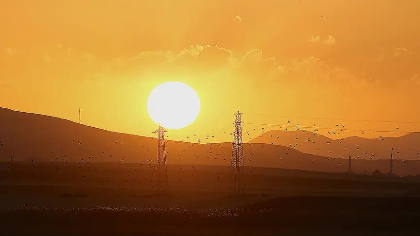 Göçmen kuşların rotası elektrik şebekesindeki önlemleri şekillendiriyor