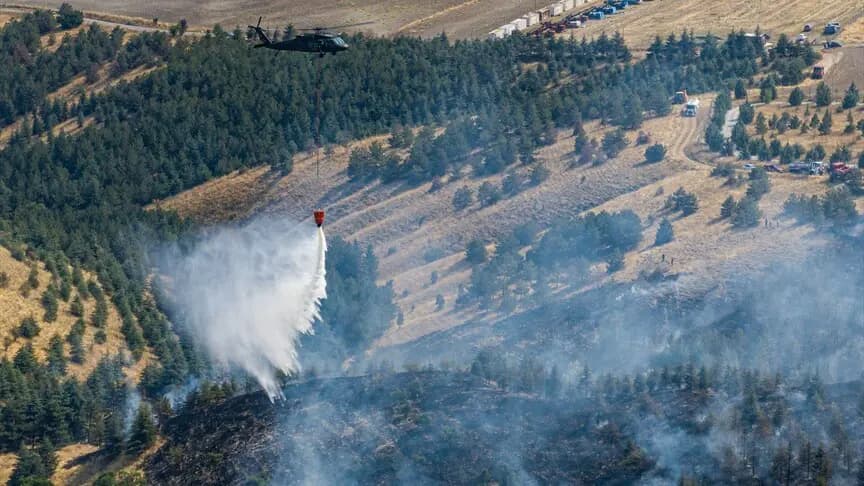 Ankara'da ormanlık alanda çıkan yangına müdahale ediliyor