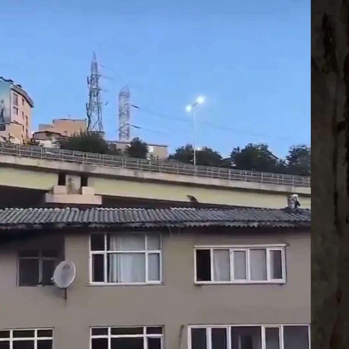 Kağıthane'de viyadük altında asılsız şüpheli ihbarı yapan kadına 18 bin 826 lira ceza