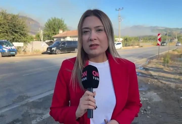 Antalya'nın üç ilçesinde yangın