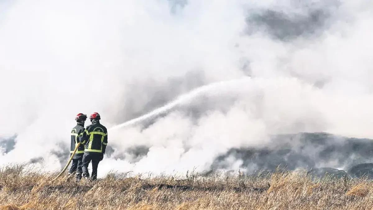 Fransa’da 225 hektar kül oldu