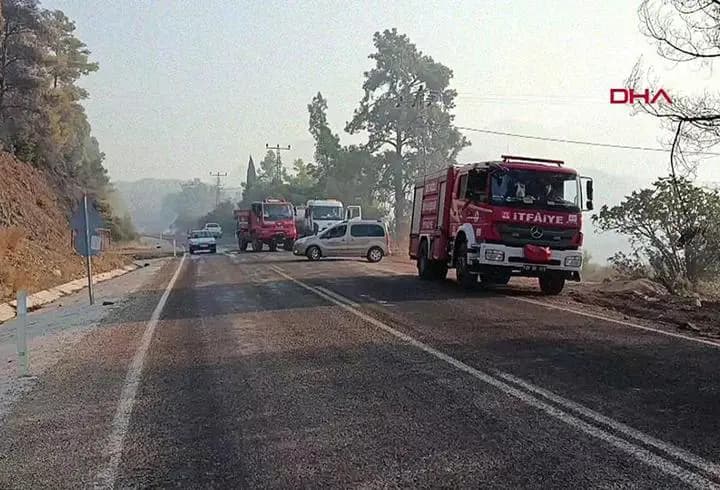 Antalya'daki orman yangınının enerjisi düşürüldü
