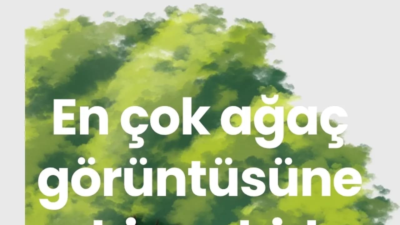 En çok ağaç görüntüsüne sahip şehirler