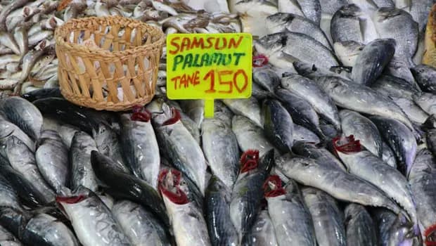 Bu sene palamut bolluğu yaşanıyor... Balık fiyatları ne olacak? Tezgahlardaki ‘bayat’ hilelere çok dikkat!