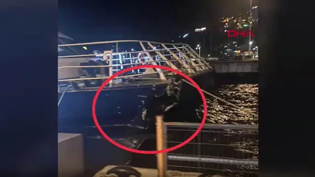 Mudanya'da İDO deniz otobüsü iskeleye çarptı