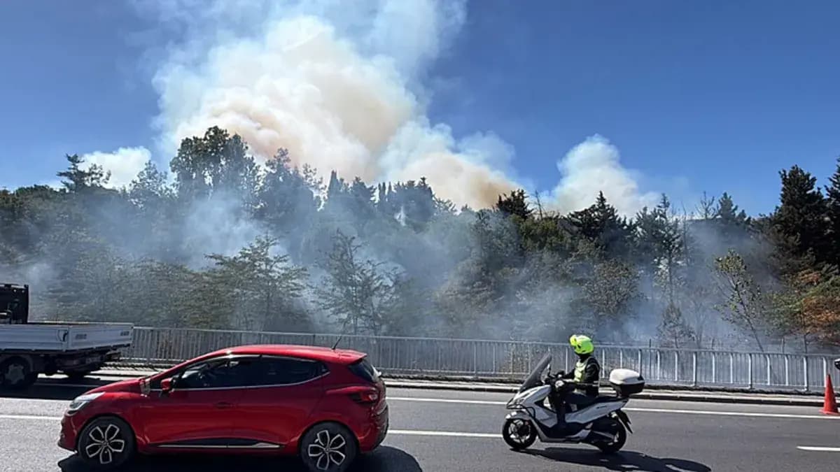 Bakırköy'de ağaçlık alanda yangın: Alevler kontrol altına alındı