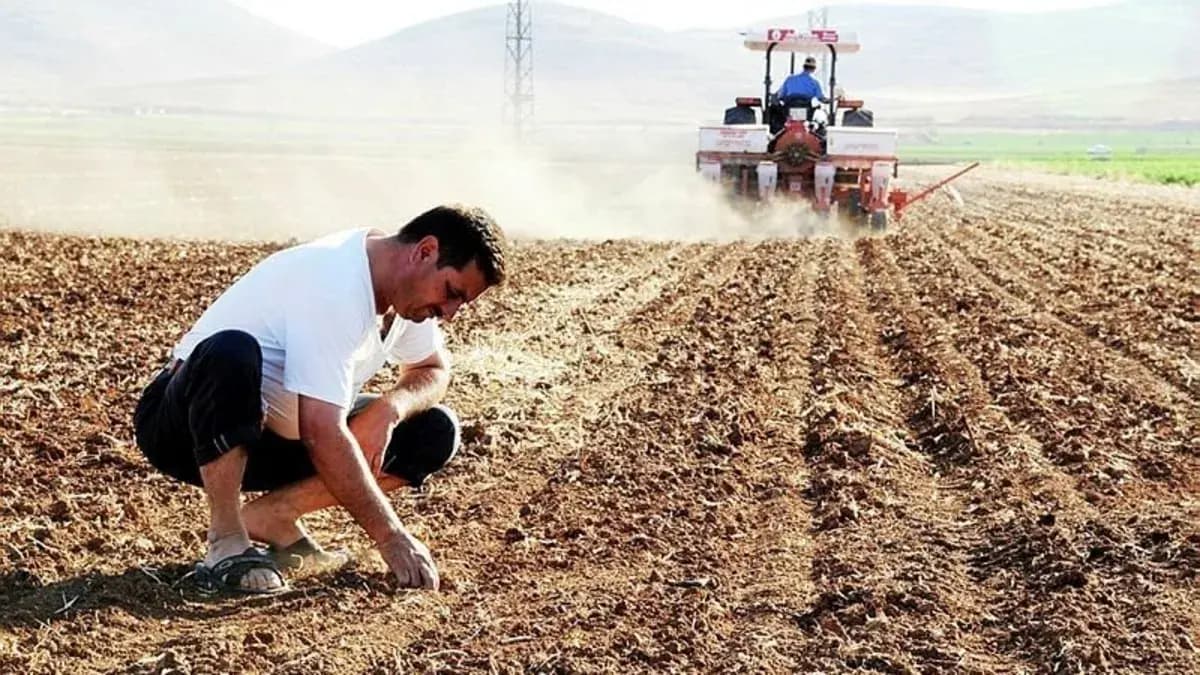 Çiftçilere destek yağmuru! Resmi Gazete'de yayımlandı, ödemelerde yüzde 100'e varan artış