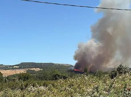 Çanakkale'de tarım arazisinde yangın! Müdahale ediliyor