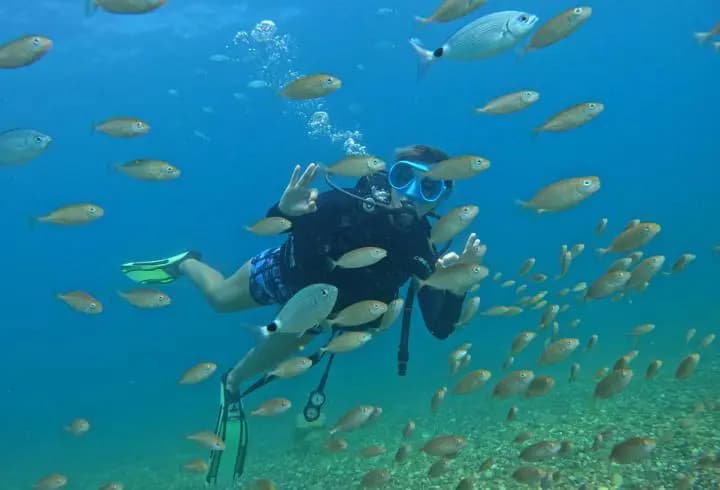 Akdeniz'in altında başka bir dünya: Antalya dalış tutkunlarının gözdesi