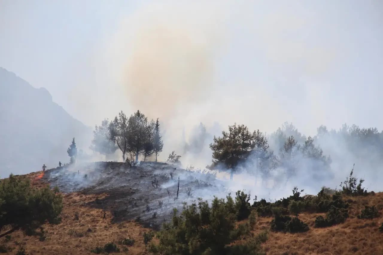 73 orman yangınına ilişkin 12 kişi tutuklandı! Bakan Akın Gürlek duyurdu