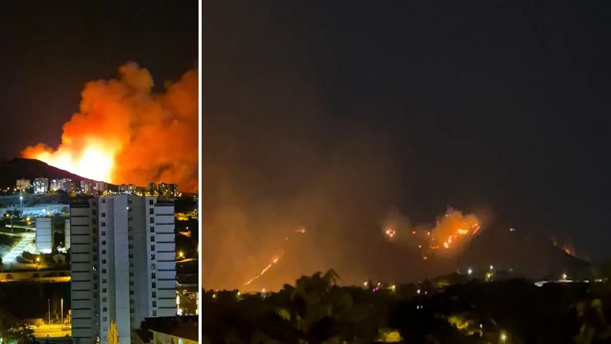 Ankara'da ağaçlık alanda yangın: Şüpheli 1 kişi gözaltına alındı