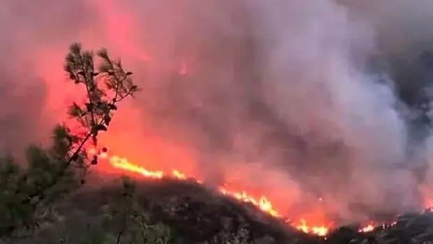 Muğla'da başlayan orman yangını Antalya'ya sıçradı: Alevlerle mücadele devam ediyor! 'Kaçmasaydım yanacaktım'