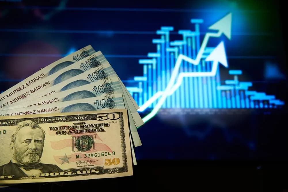 Dolar/TL'den bir rekor daha geldi
