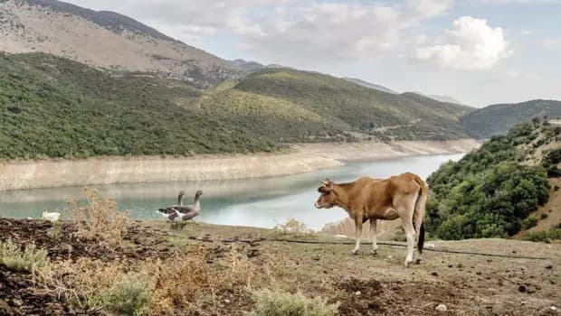 Yunanistan bunu hep yapıyor... Haksız yardım miktarı sanılandan büyük olabilir