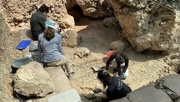 86 bin yıllık İnkaya Mağarası'ndaki 'organik kalıntı' gizemi e-DNA ile çözülecek