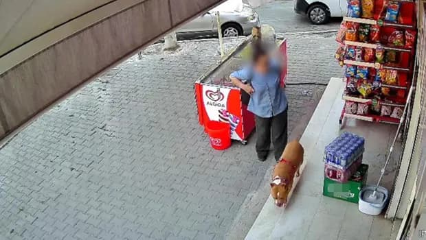 İzmir'de tasmasız pitbull dehşeti: Köpeğini korumak isterken parmağından oldu