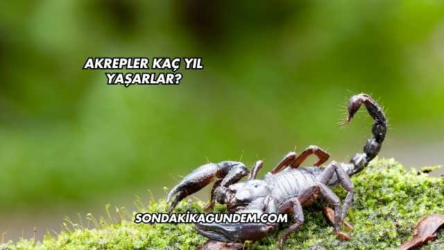 Akrepler Kaç Yıl Yaşarlar?