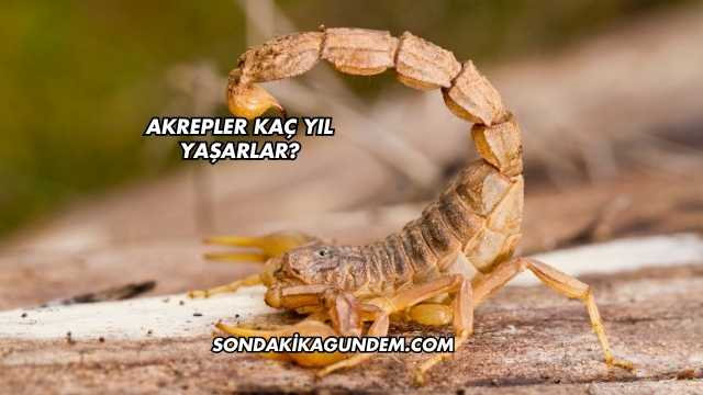 Akrepler Kaç Yıl Yaşarlar?